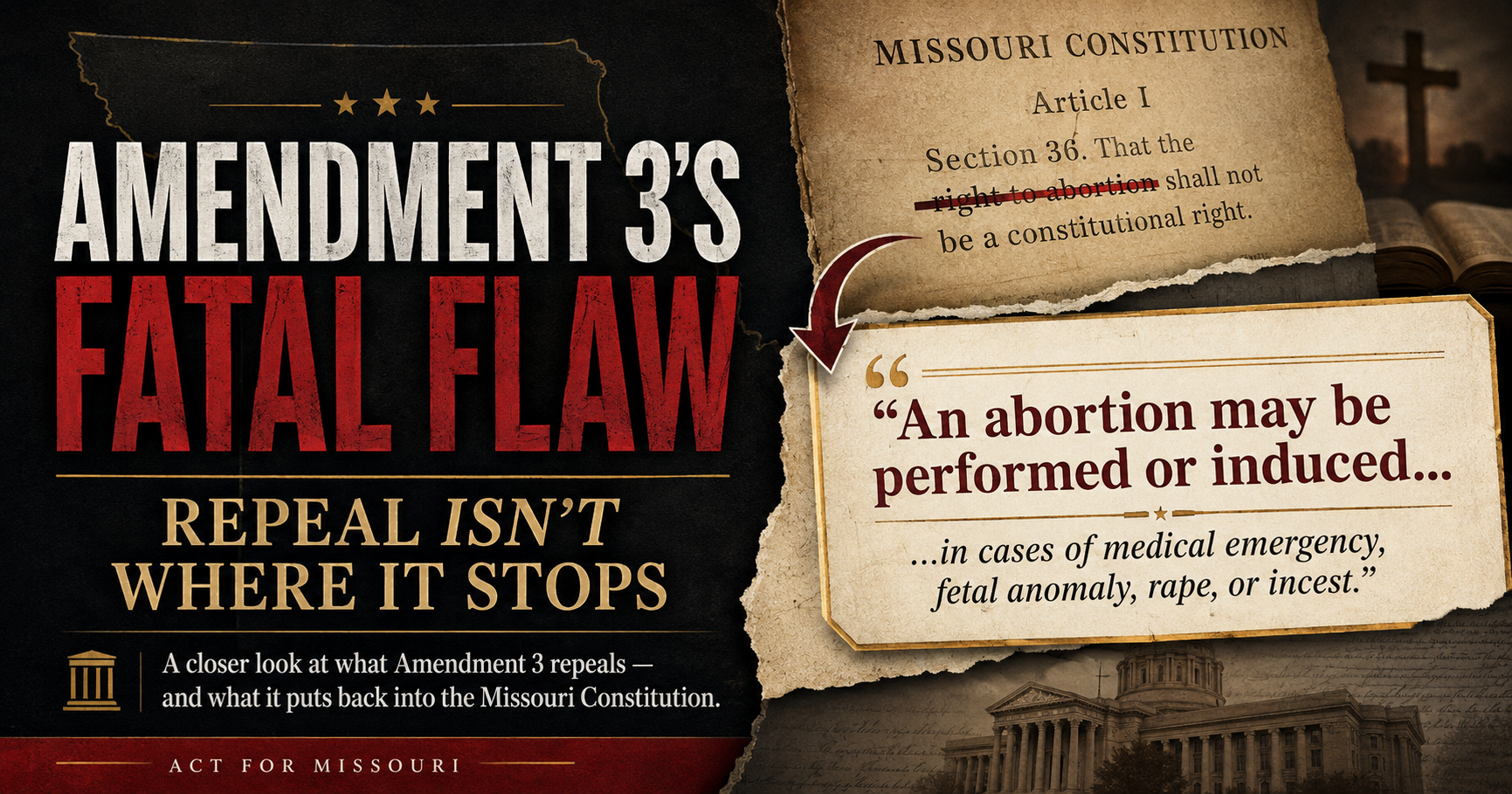 Amendment 3's Fatal Flaw: Repeal Isn't Where It Stops
